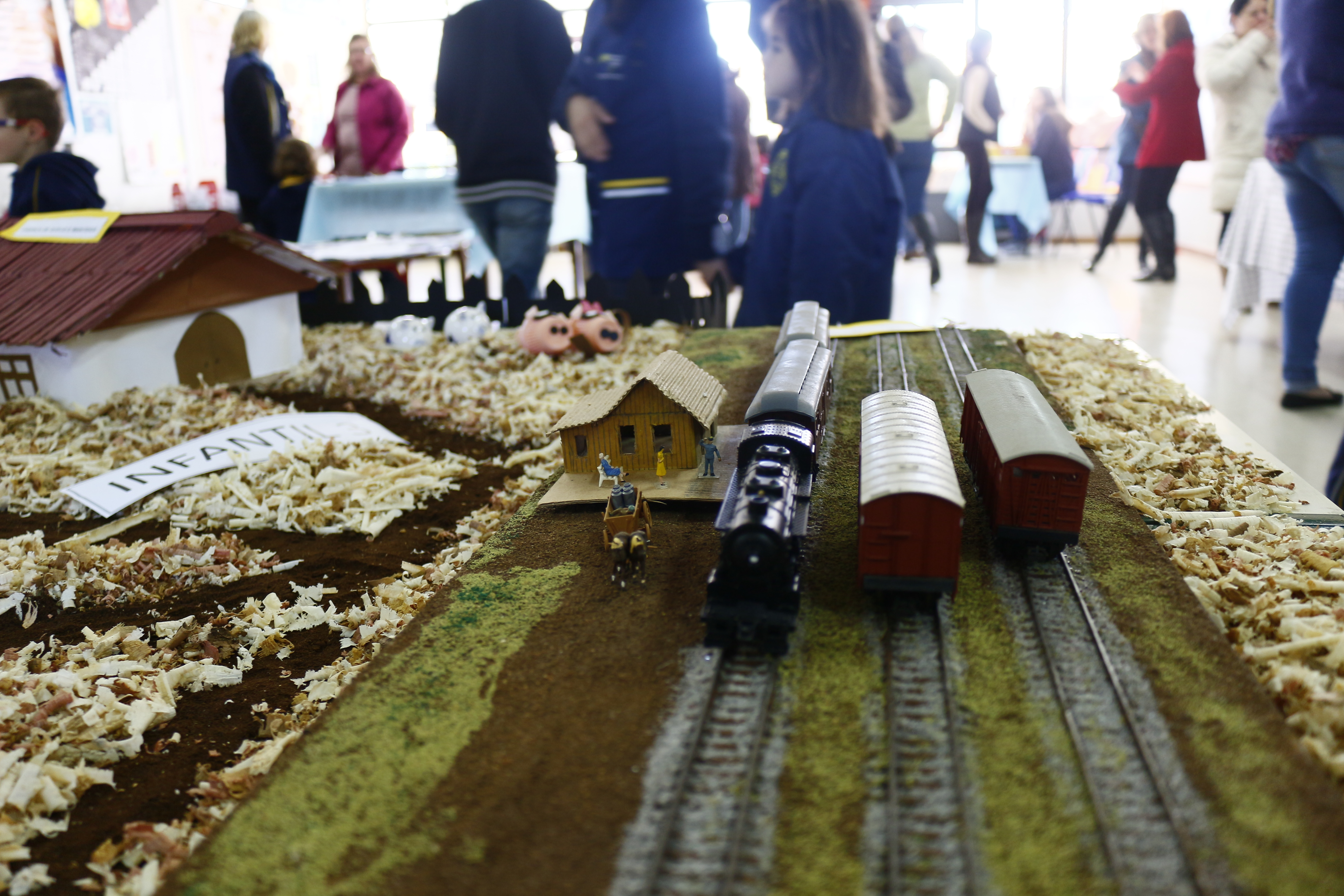 Visita ao museu auxilia na elaboração de feira escolar