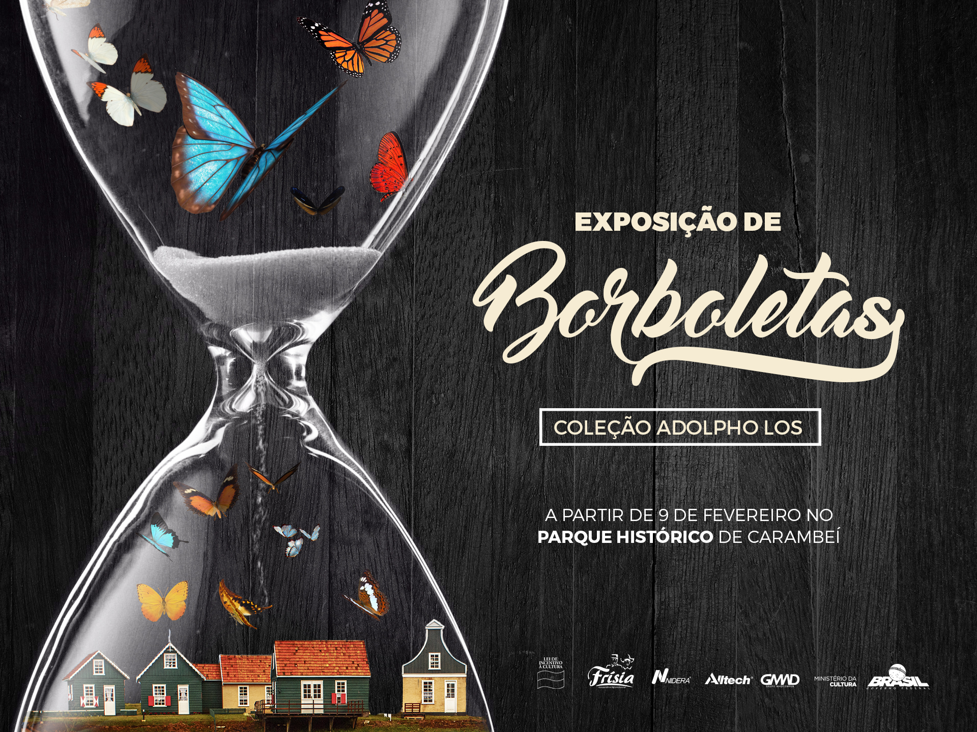 Museu recebe Coleção de Borboletas Adolpho Los