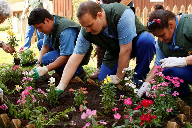 Alunos da APAE e Colaboradores da Frísia fazem jardim no Parque Histórico