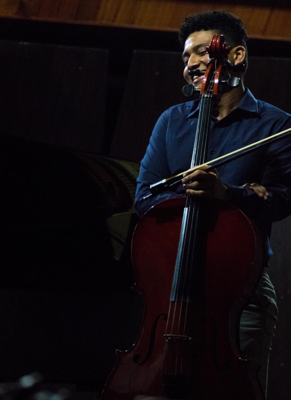 Natal no Parque terá concerto de violoncelo com clássicos de Natal
