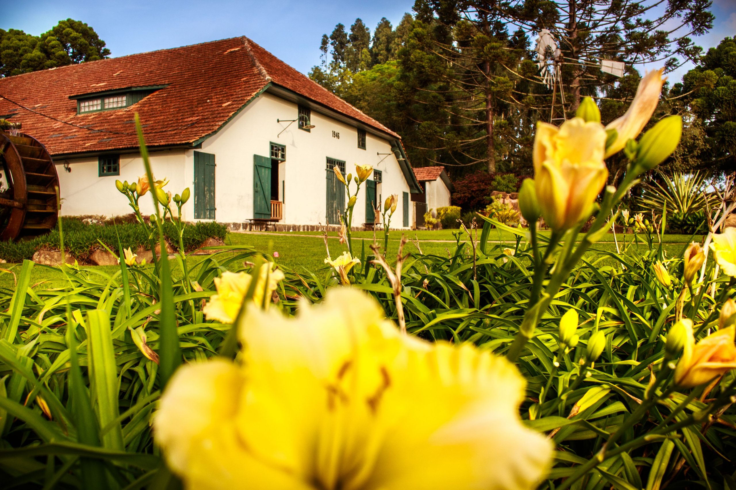 Koffiehuis Parque Histórico lança campanha Mantenha a Cultura Viva