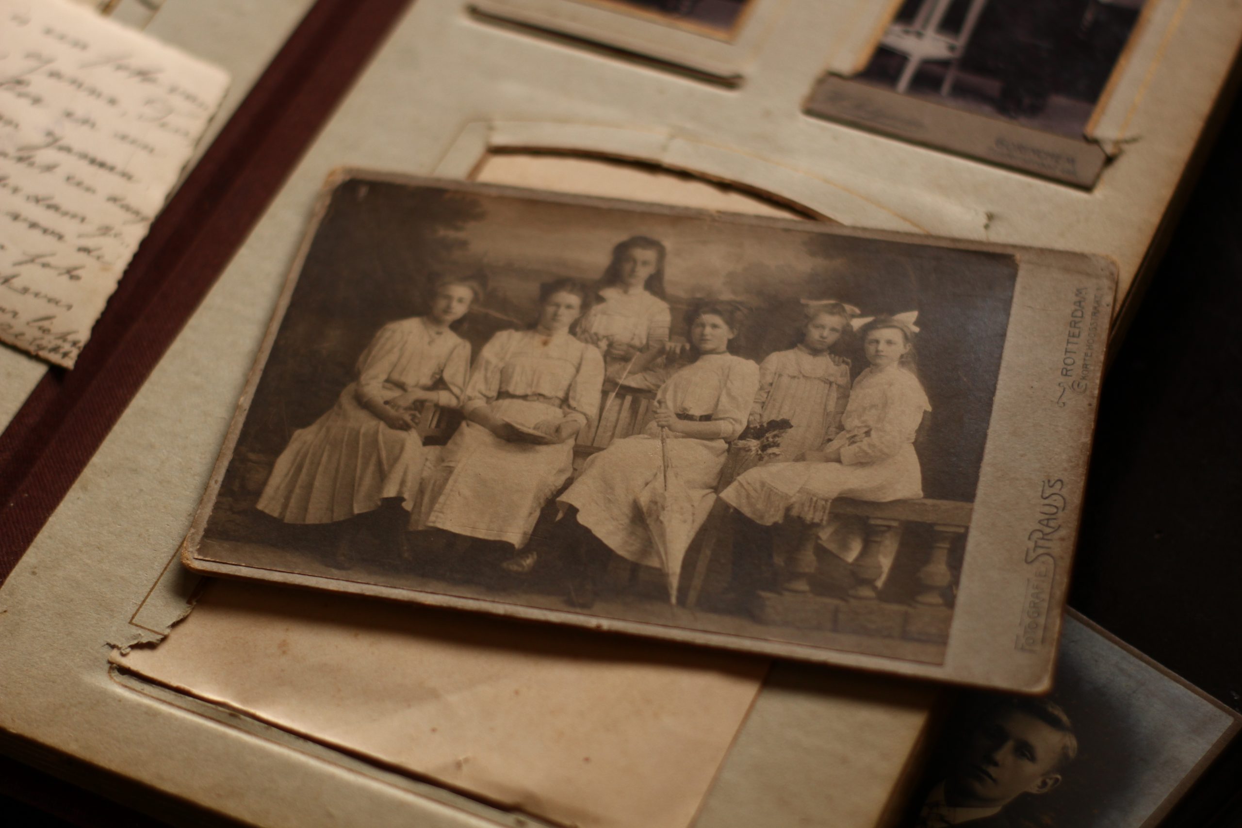 Álbum de fotos do século XIX é doado ao Parque Histórico