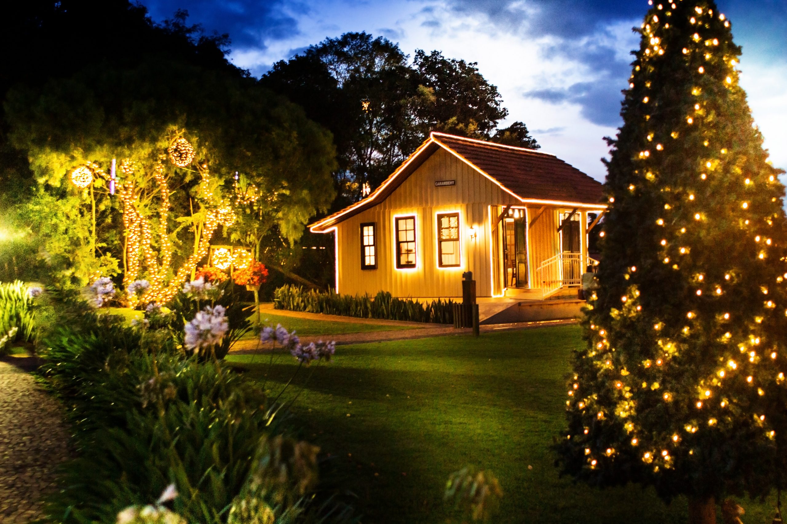 Natal no Parque Solidário