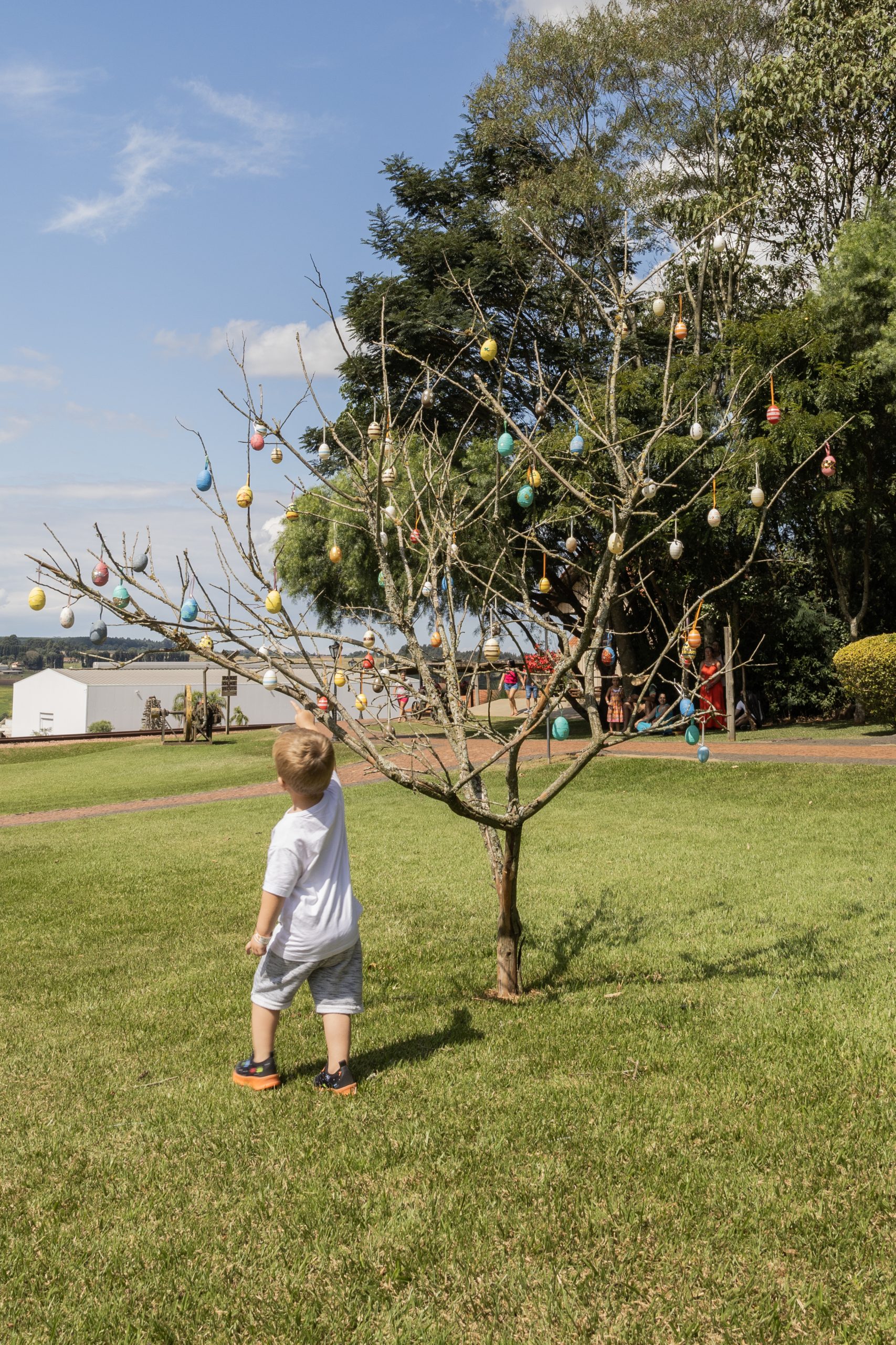 Caça aos Ovos no Museu Parque Histórico de Carambeí
